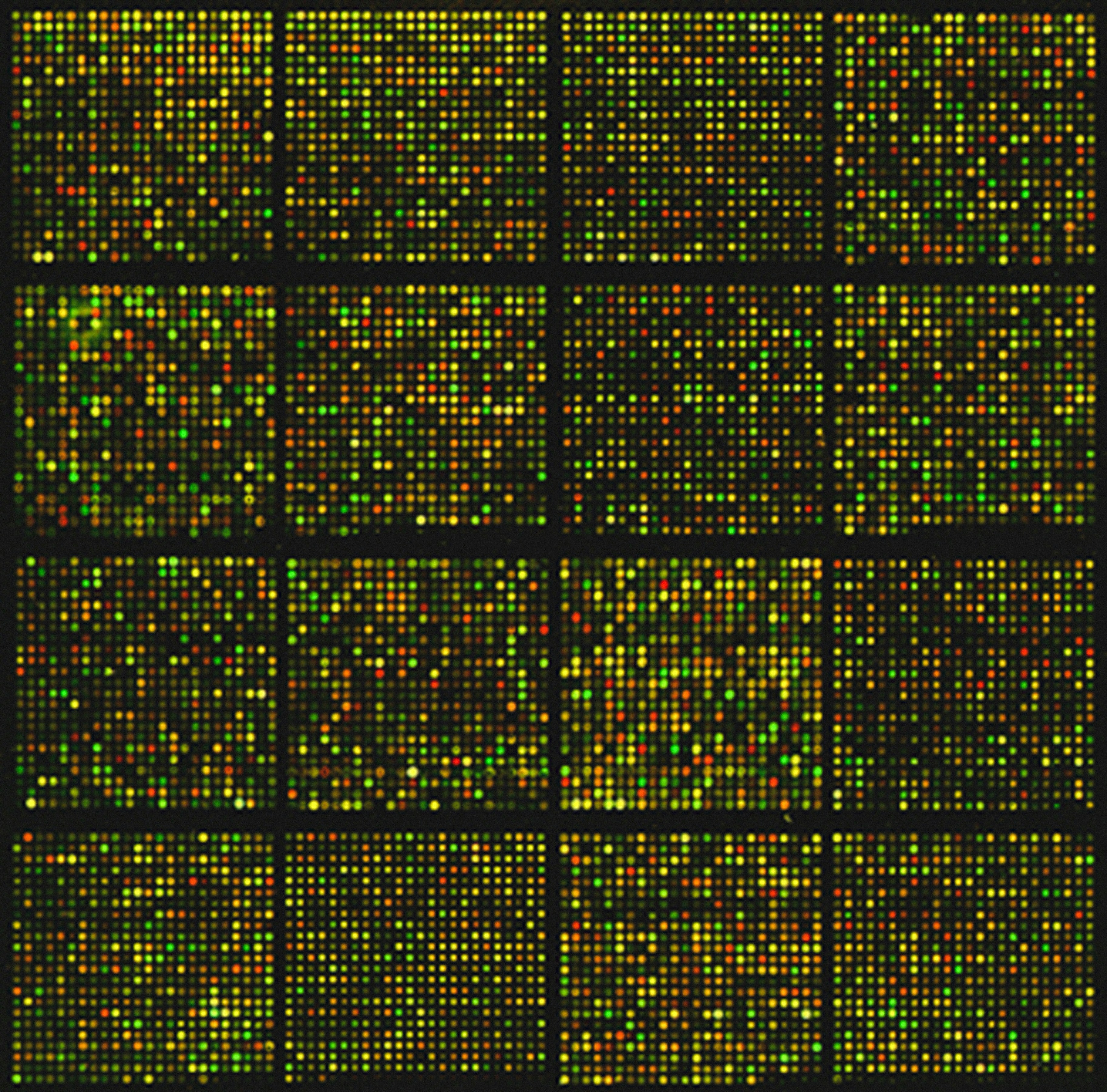 Precision Medicine: Transforming Healthcare One Patient at a Time