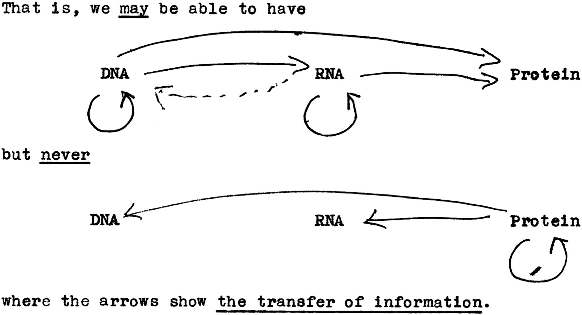 mRNA Technology Beyond COVID-19: The Future of Vaccines?
